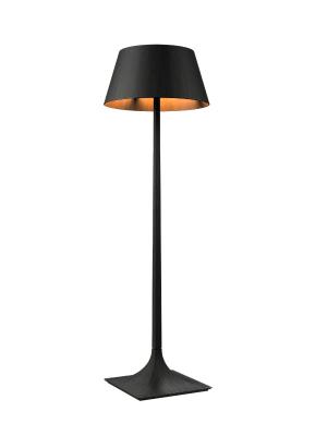 Accord 3044 Nostalgia 1-lt 70" Tall LED Floor Lamp-Charcoal
