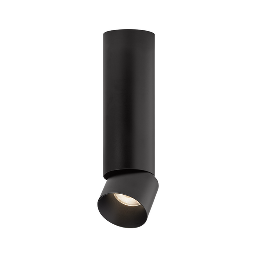 Element ENCY2R ENTRA 2" 8W Adjustable LED Cylinder, Flush Mount - Black
