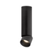 Element ENCY2R ENTRA 2" 8W Adjustable LED Cylinder, Flush Mount - Black
