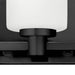 Hinkley 54623 Karlie 3-lt 23" LED Bath Light - Black