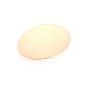 Dals DCP-RK18 Kayu 7W LED Rock Light