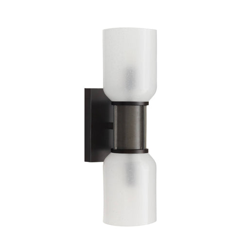 Arteriors DWC91 Landon 2-lt 21" Wall Sconce