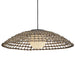 Hinkley 10395 Arlen 1-lt 30" LED Chandelier