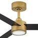 Hinkley 907452 Speck 52" Indoor/Outdoor Smart Ceiling Fan with LED Light Kit - Heritage Brass