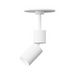 Element EC2R 2" 15W Adjustable LED Cylinder, Pendant Mount - White