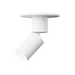 Element EC2R 2" 12W Adjustable LED Cylinder, Warm Dim, Surface Mount - White