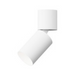 Element EC2R 2" 15W Adjustable LED Cylinder, Warm Dim, Flush Mount - White