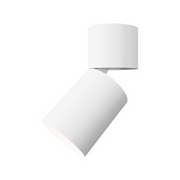 Element EC3R 3" 12W Adjustable LED Cylinder, Warm Dim, Flush Mount - White