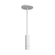 ENTRA 2" 12W Adjustable LED Cylinder, Pendant Mount - White