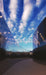 Bruck EXT-SKY-DI 1" Skyline System Iris Down Track Head
