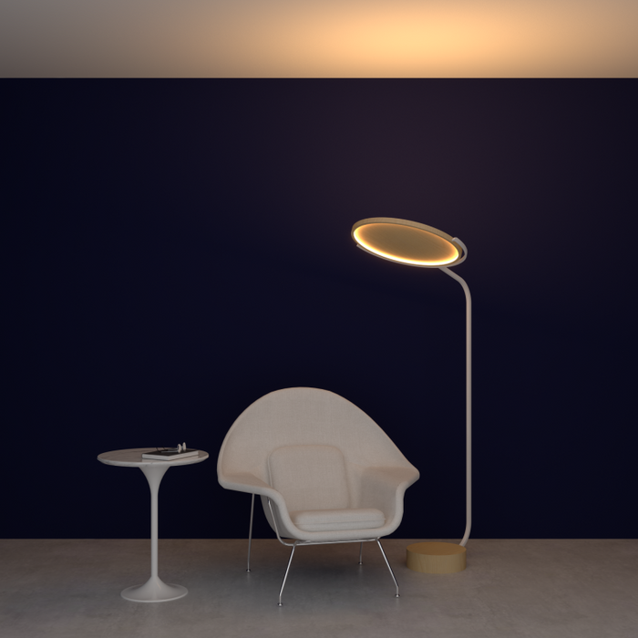 Accord 3039 Naia 1-lt 69" Tall LED Floor Lamp