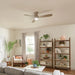 Kichler 300315 Bead 54" Ceiling Fan with LED Light Kit
