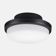 Fanimation MAD8514 TriAire 52" Indoor/Outdoor Ceiling Fan with LED Light Kit, Pleated Blades