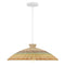 Savoy House M7032 1-lt 22" Pendant