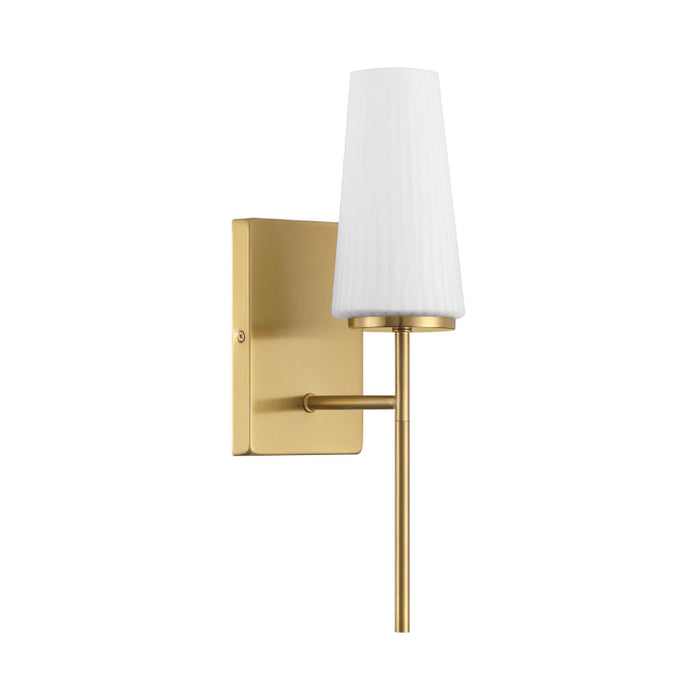Savoy House M90115 1-lt 16" Tall LED Wall Sconce