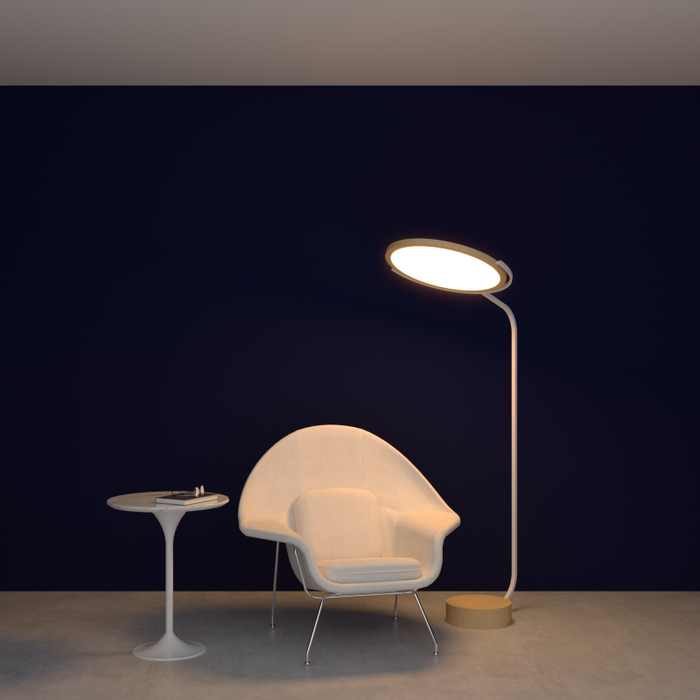Accord 3039 Naia 1-lt 69" Tall LED Floor Lamp
