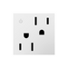 Adorne ARCD152 15A Tamper-Resistant Dual-Controlled Outlet, 125V - White
