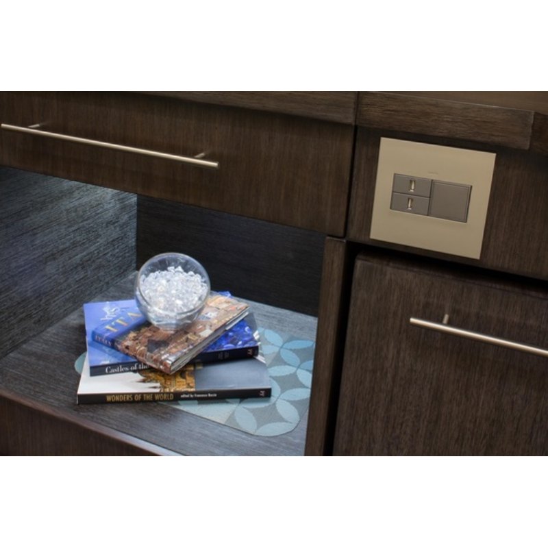 Adorne AWP Screwless Wall Plate with Microban, Titanium