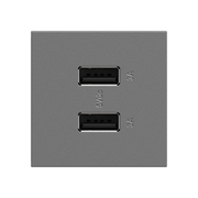 Adorne ARUSB2AA6 3.1A Ultra-Fast USB Type-A/A Outlet Module - Magnesium