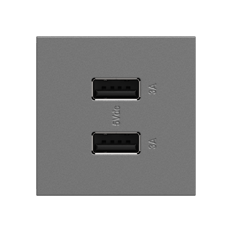 Adorne ARUSB2AA6 3.1A Ultra-Fast USB Type-A/A Outlet Module - Magnesium
