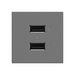 Adorne ARUSB2AA6 3.1A Ultra-Fast USB Type-A/A Outlet Module - Magnesium