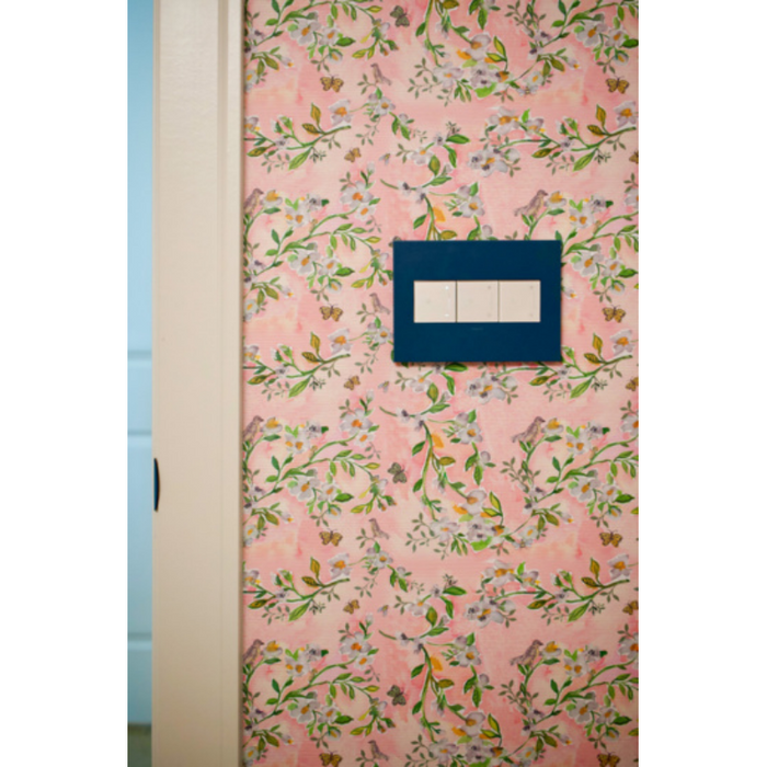 Adorne AWP Screwless Wall Plate with Microban, Mystic