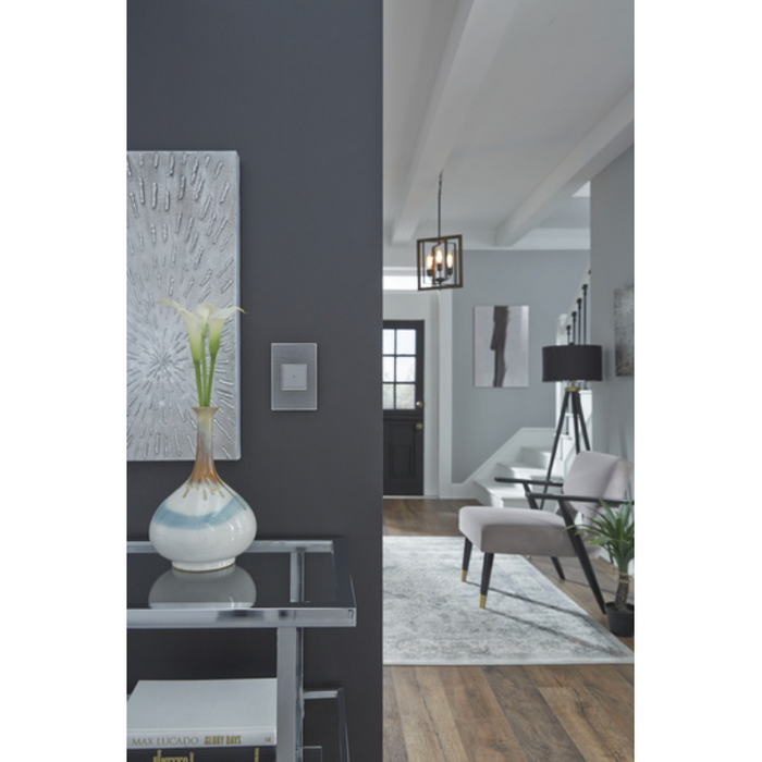 Adorne AWM Screwless Wall Plate, Rustic Grey