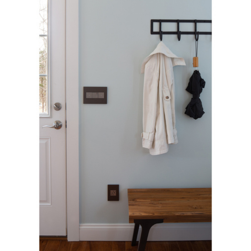 Adorne AWP Screwless Wall Plate with Microban, Graphite