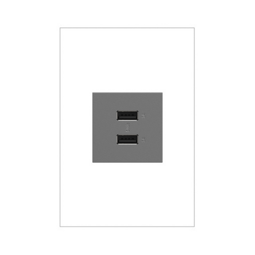 Adorne ARUSB2AA6 3.1A Ultra-Fast USB Type-A/A Outlet Module - Magnesium