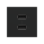 Adorne ARUSB2AA6 3.1A Ultra-Fast USB Type-A/A Outlet Module - Graphite