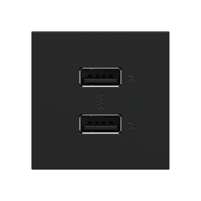 Adorne ARUSB2AA6 3.1A Ultra-Fast USB Type-A/A Outlet Module - Graphite