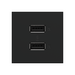 Adorne ARUSB2AA6 3.1A Ultra-Fast USB Type-A/A Outlet Module - Graphite