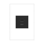 Adorne ARUSB2AC6 15W Ultra-Fast USB Type-A/C Outlet Module, 125V - Graphite