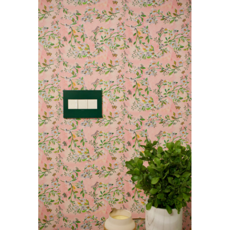 Adorne AWP Screwless Wall Plate with Microban, Evergreen