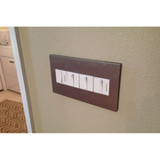 Adorne AWP Screwless Wall Plate with Microban, Titanium