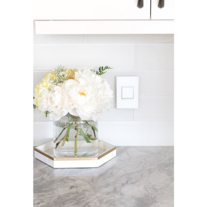 Adorne AWM Screwless Wall Plate, Mirror White