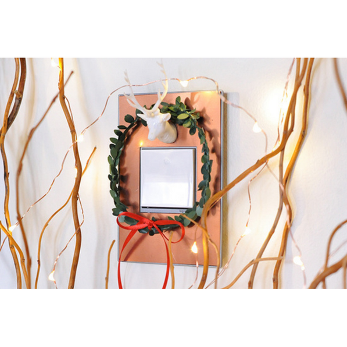 Adorne AWM Screwless Wall Plate, Custom with Magnesium Trim