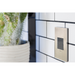 Adorne AWC Screwless Wall Plate, Brushed Stainless Steel