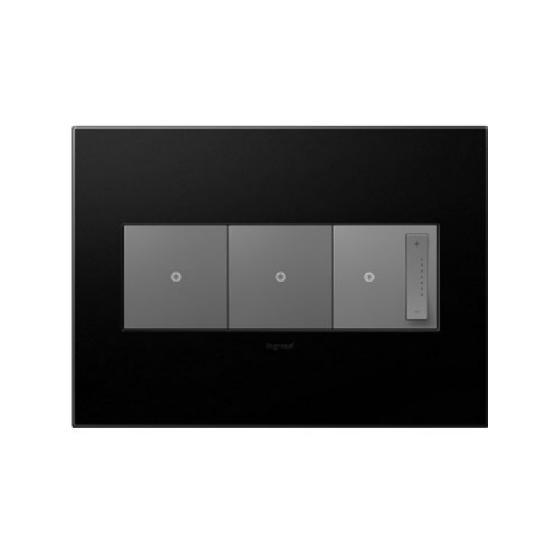 Adorne AWP Screwless Wall Plate with Microban, Graphite