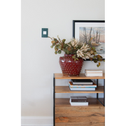 Adorne AWP Screwless Wall Plate with Microban, Evergreen