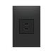 Adorne ARUSB2AA6 3.1A Ultra-Fast USB Type-A/A Outlet Module - Graphite