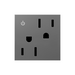 Adorne ARCD152 15A Tamper-Resistant Dual-Controlled Outlet, 125V - Magnesium