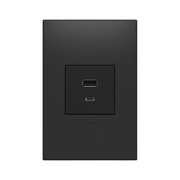 Adorne ARUSB2AC6 15W Ultra-Fast USB Type-A/C Outlet Module, 125V - Graphite