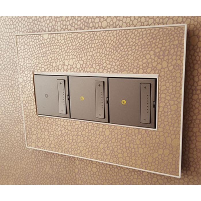 Adorne AWM Screwless Wall Plate, Custom with White Trim