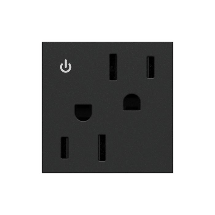 Adorne ARCD152 15A Tamper-Resistant Dual-Controlled Outlet, 125V - Graphite