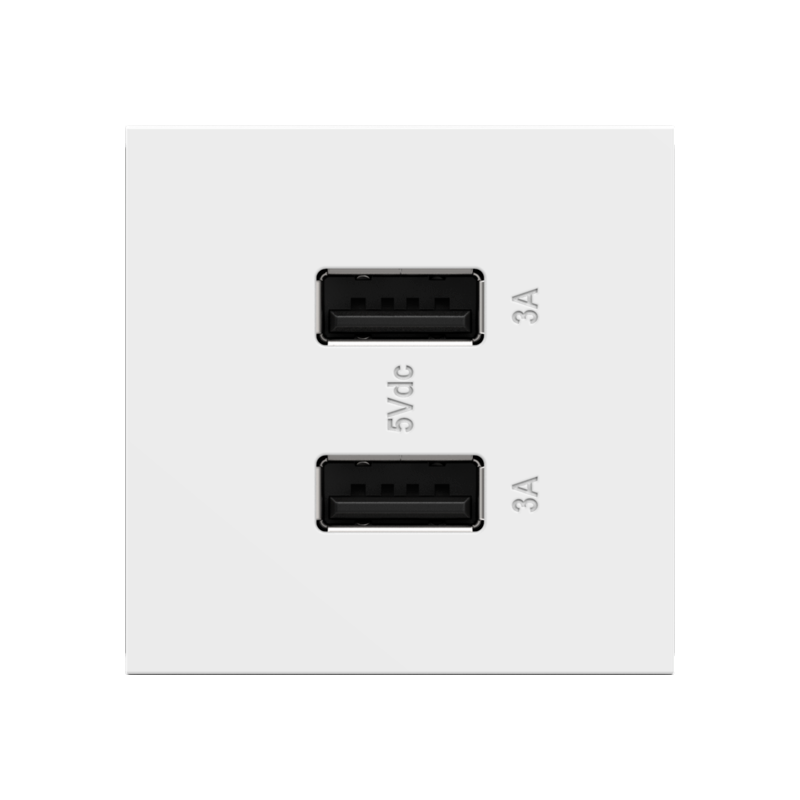 Adorne ARUSB2AA6 3.1A Ultra-Fast USB Type-A/A Outlet Module - White