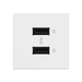 Adorne ARUSB2AA6 3.1A Ultra-Fast USB Type-A/A Outlet Module - White