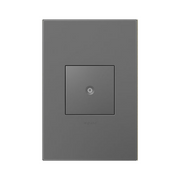 Adorne AWP Screwless Wall Plate with Microban, Magnesium - 1 Gang