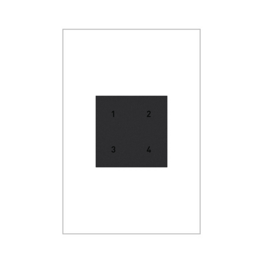 Adorne WNACB40 Wireless Smart Scene Switch with Netatmo, 120V - Graphite