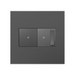 Adorne AWP Screwless Wall Plate with Microban, Magnesium - 2 Gang
